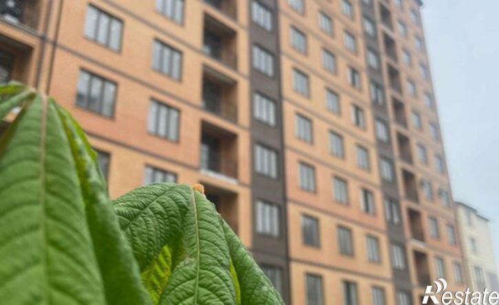 2-комн квартира ул Лизы Чайкиной, 65,  д. 65