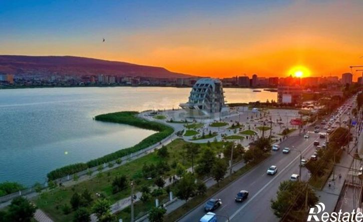 1-комн квартира пр-кт Петра 1, 121,  д. 121