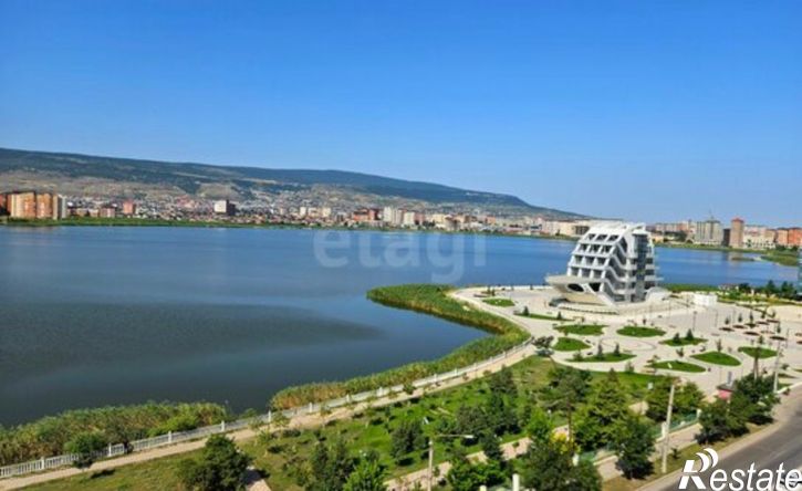 1-комн квартира пр-кт Петра 1, 121,  д. 121