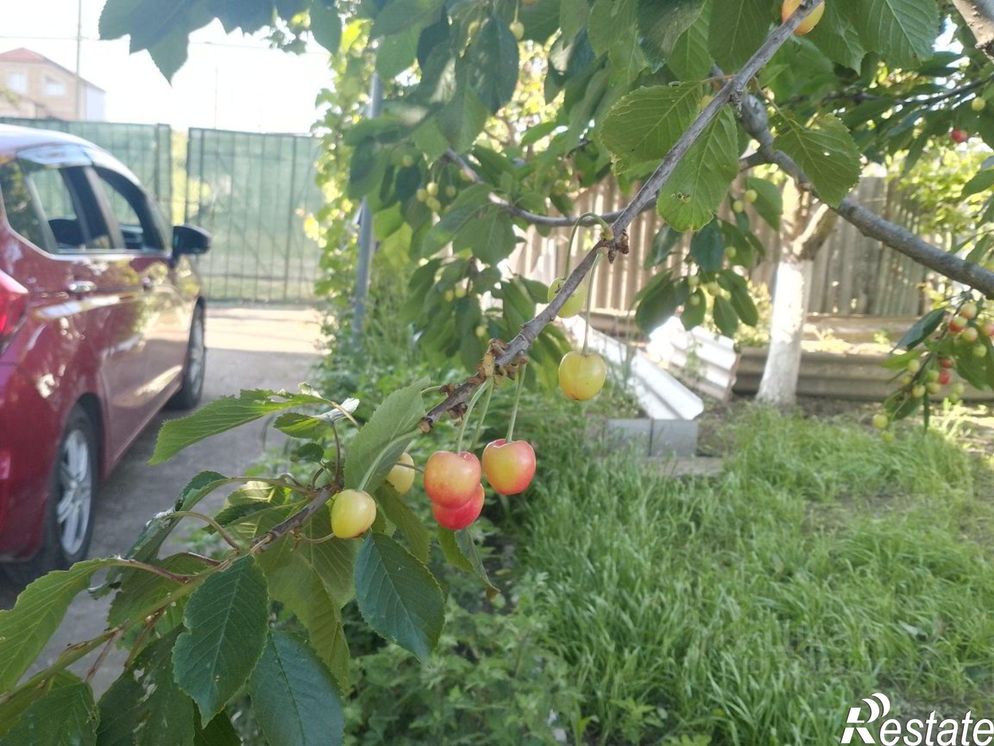 Купить дачу, дом, коттедж за 4 770 000 рублей