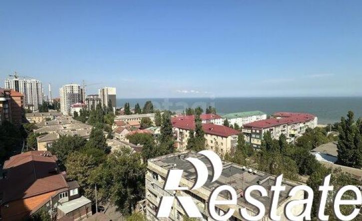 1-комн квартира проспект Петра I, 93,  д. 93