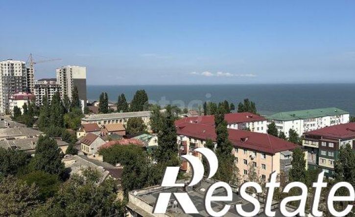 1-комн квартира проспект Петра I, 93,  д. 93